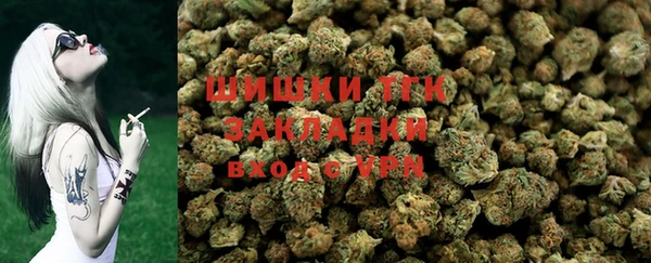 ПСИЛОЦИБИНОВЫЕ ГРИБЫ Алексин