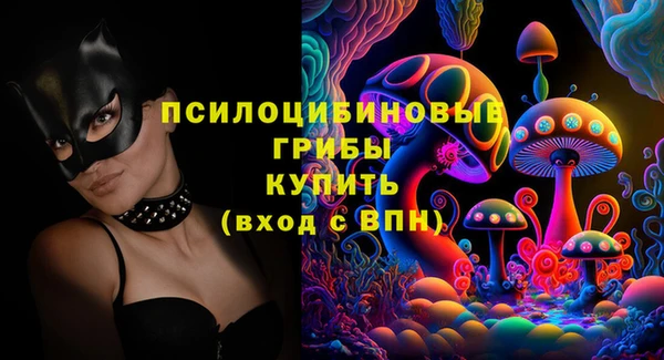 шишки Алексеевка