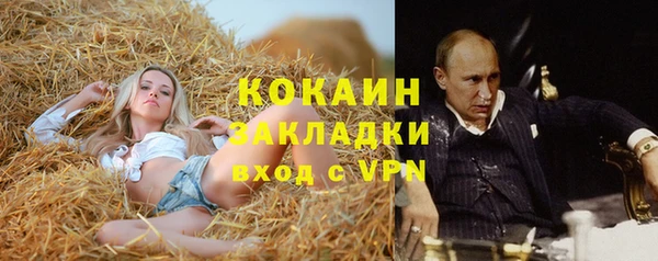 шишки Алексеевка