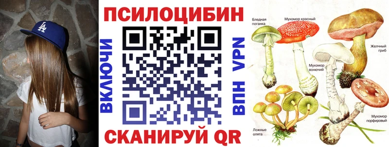 купить  сайты  Бокситогорск  Псилоцибиновые грибы ЛСД 